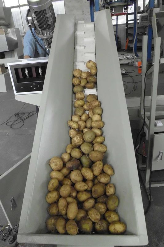 ماشین بسته بندی سیب زمینی سفارشی 2.5 کیلو وات